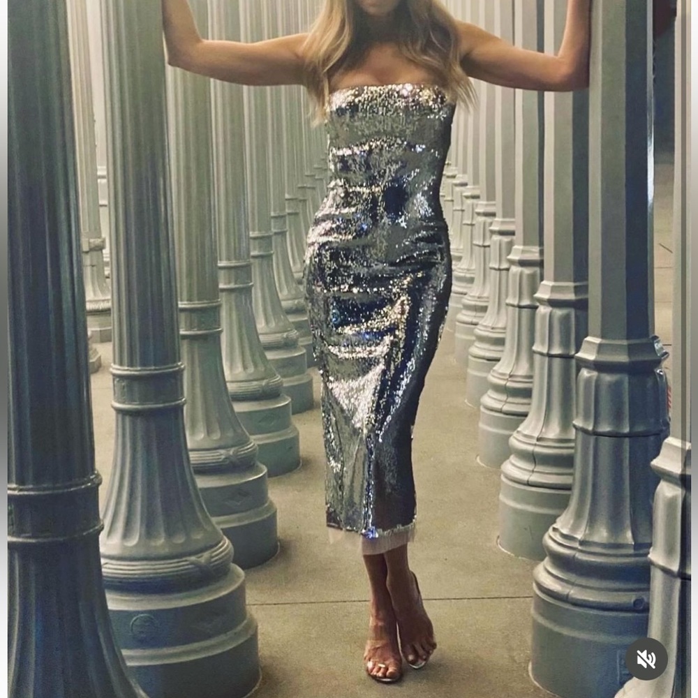 Zara Sequin appliqué Strapless Midi Dress Organza Tulle hem Silver Size XS NWT - Picture 2 of 16